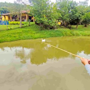 sitio-salesopolis-sp-lago-pesca